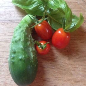 Good Things Come in Small&nbsp;Packages