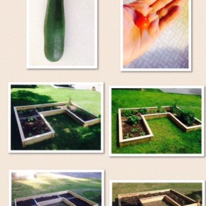 Waiting is the Hardest&nbsp;Part….