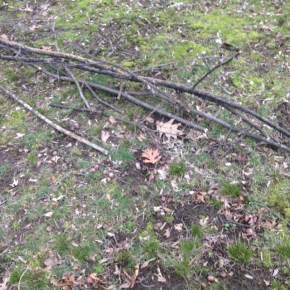 The Broken Branch of&nbsp;Friendship